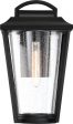 12 H Lakeview 1-Light Outdoor Aged Bronze   Clear Fashion