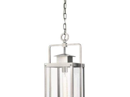 Crested Butte 1-Light Outdoor Pendant Antique Brushed Aluminum Clear Glass Enclosure For Cheap