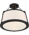 16 W Cutty 3-Light Close-to-Ceiling Matte Black Sale