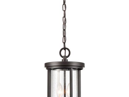 Brison 2-Light Outdoor Hanging  Oil Rubbed Bronze Online Hot Sale