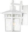 12 H Cove Neck 1-Light Outdoor White Supply