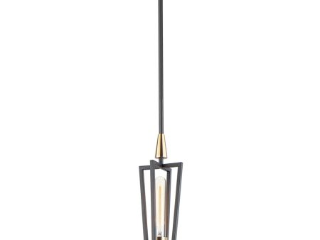 Wings 1-Light Pendant Black   Satin Brass Supply