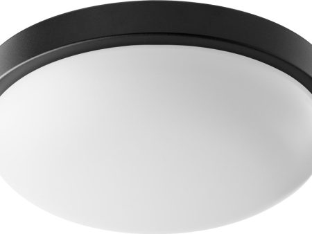 12 W 1-light LED Ceiling Flush Mount Noir For Discount