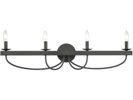 Williamson 4-Light Vanity-Light Black For Cheap