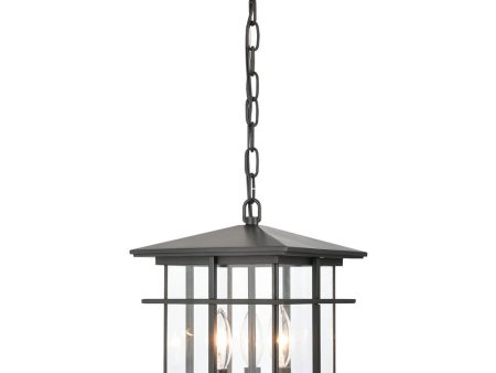 Oak Park 3-Light Outdoor Hanging  Matte Black Sale