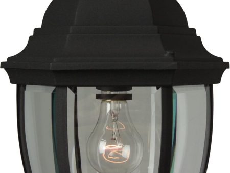 10 W Bent Glass 1-Light Outdoor Pendant Matte Black on Sale