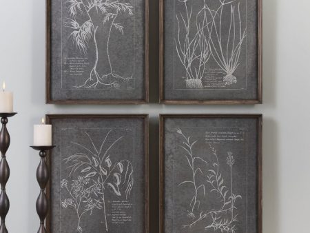 24 H x 18 W Root Study Print Art Set of 4 Cheap