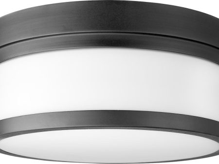 12 W Celeste 2-light Ceiling Flush Mount Noir Online Hot Sale