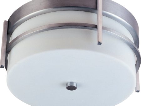 11 W Luna 2-Light Outdoor Ceiling Mount Brushed Metal For Sale