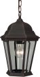 10 W Straight Glass 1-Light Outdoor Pendant Rust For Discount