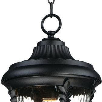 9 W Sentry 1-Light Outdoor Hanging Pendant Black Cheap