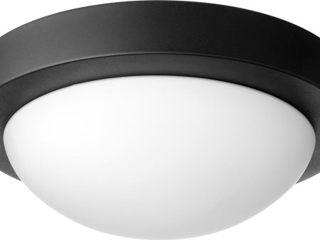 11 W 2-light Wall Mount Light Fixture Noir Hot on Sale