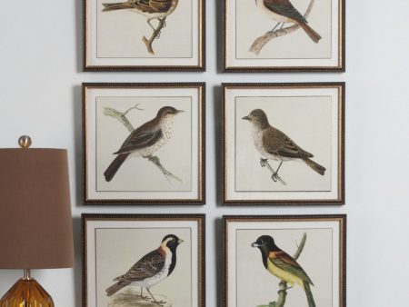 15 H Spring Soldiers Bird Prints Set of 6 Online