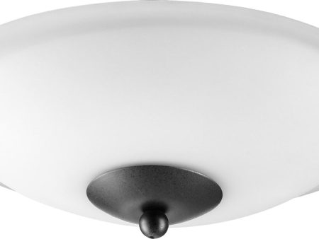 12 W 2-light LED Ceiling Fan Light Kit Noir w  Satin Opal For Sale